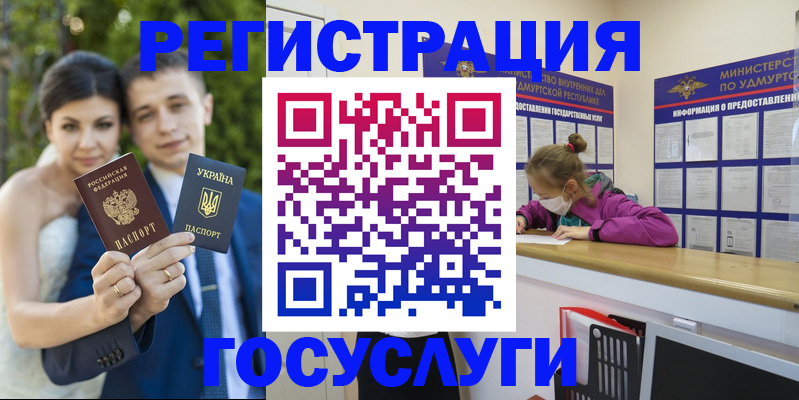 прописка поиск в Кировске